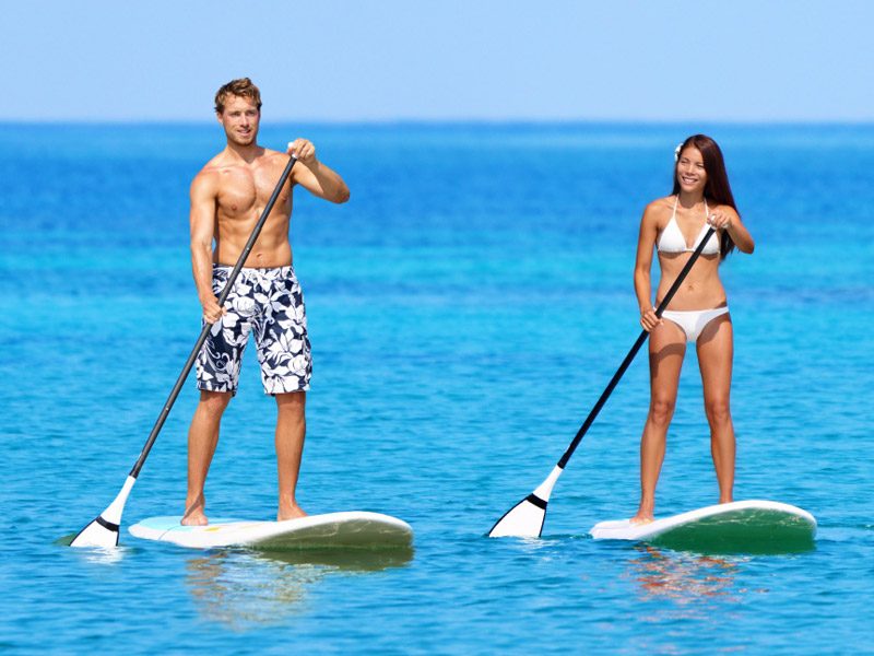 Paddle Board Rentals